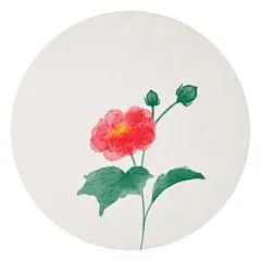木芙蓉。
