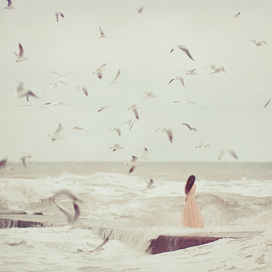 oprisco photography ...