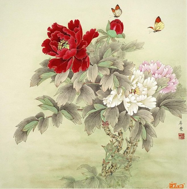 田希丰工笔花鸟画