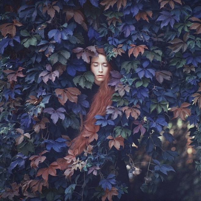 Oleg Oprisco 艺术摄影