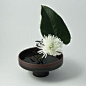 Ziji - Earthen Pedestal Vase, $82.50 (<a class="text-meta meta-link" rel="nofollow" href="<a class="text-meta meta-link" rel="nofollow" href="http://www.ziji.com/products/ikebana-flower-arranging/ike
