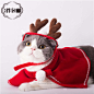 *摩卡喵*宠物猫咪狗狗圣诞节帽子围巾节日变身装新年斗篷圣诞衣服-淘宝网