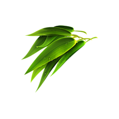影117采集到花叶