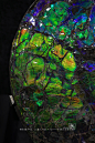 2021.3.3 南京博物院 #晶 · 华——矿物之至善至美# 彩斑螺 产地：加拿大

彩斑螺宝石是只产于加拿大阿尔伯特省固定区域的一种宝石，
是7000万年前的菊石经过高温高压等苛刻条件下所形成的化石
因表面的特殊物理结构，以“结构色”的方式显色，因此颜色极为多彩艳丽。 ​​​​