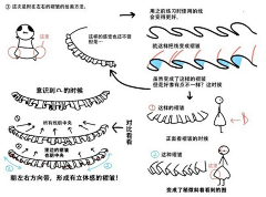 DNADANDAN采集到布料