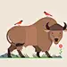 Buffalo