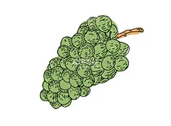 葡萄手绘  - 源文件下载【酷图网】葡萄,葡萄手绘,葡萄矢量,水果葡萄,水果