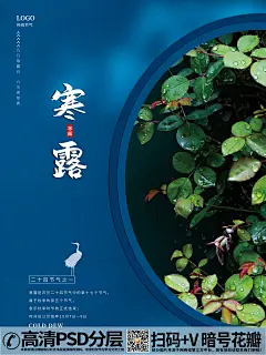 【V49】简约大气二十四节气寒露海报 (1)