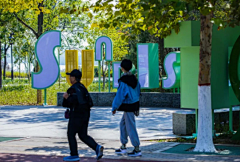 设计不能再干了采集到市政