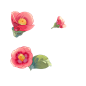 3k粉粉福【一个服设和两个花（槐花和山茶）的… - 半次元 - ACG爱好者社区