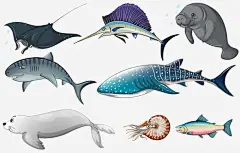 手绘海洋生物合集高清素材 剑鱼 大海 手绘 海洋 海洋生物 海狮 海豚 海鲜 电鳗鱼 虾子 鲨鱼 鲸鱼 免抠png 设计图片 免费下载