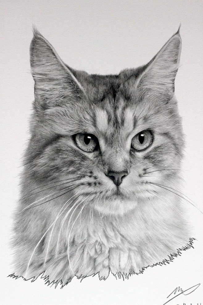 Cat Drawing by ~shar...