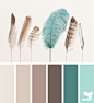 feathered palette