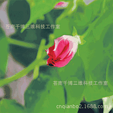 3d立体动态桌面壁纸_百度图片搜索