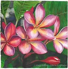 水彩---花卉 - 高清图片，堆糖，美图壁纸兴趣社区