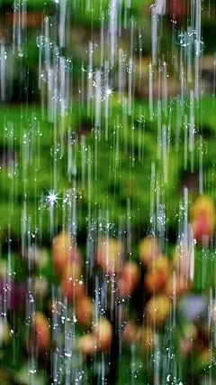 简约清新雨滴手机壁纸