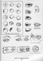 How to draw Eyes