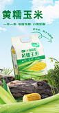 黄糯玉米