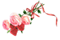 粉色玫瑰花 (9)