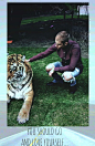 Mobile Phone Wallpaper-Justin Bieber