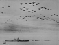 胜利飞行 1945.9.2
东京湾，“密苏里”号投降仪式签署当天下午，美国海军第38特混舰队约900多架舰载机飞越东京湾上空庆祝盟军胜利。“这一天，枪炮沉默，世界为和平而祈祷。。”麦克阿瑟如是说，真的是这样么？