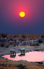 Sunset with Rhinos - Etosha National Park, Namibia, Africa