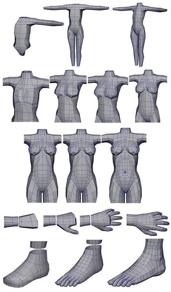 Body