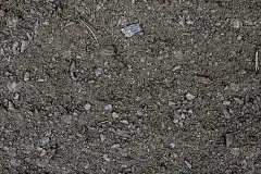 乔治亚州的天然质地