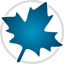 Maplesoft Maple 2025.0 破解版 – 数学学术软件