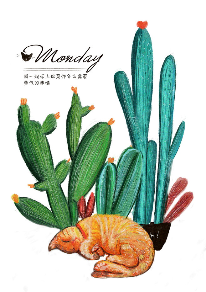 星期一 猫 植物 多肉 睡觉