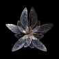 水晶花<br/>摄影师把昆虫翅膀拍成了花瓣_百科文章_百度百科