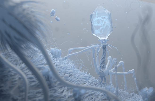 Bacteriophage : This...