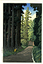 近代日本木板水印风景画 | 日本版画家Hasui Kawase（川瀬巴水）的风景版画,将东方的写意与西方油画的色彩,构图结合,让我们感受到不一样的浮世绘版画。