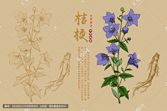 っ煴煖苜艮眸デ采集到花草