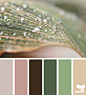 Design Seeds® | find your palette