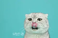 行走的表情包，严肃的大脸！ 哈哈～  徐度时光——棚拍系列