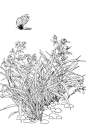 白描素材――兰竹