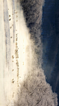薄雾笼罩的河流中的丹顶鹤，日本北海道 (© Paul & Paveena Mckenzie/Getty Images)

2020-02-16

 1735