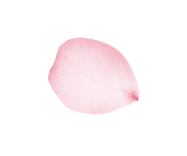 花瓣