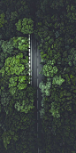 Green highway #aerialview #verticallandscape-#aerialview #green #highway #verticallandscape