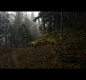 Black seasons - Last part : J’ignore le moment où cette série a précisément commencé. Sans doute pas à la première photo. Je crois que tout ceci remonte à bien plus loin, au-delà de ma propre mémoire. Ce sont des images qui se bousculent : un curé revêtu 