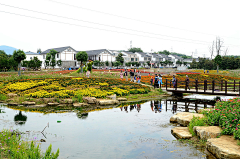方圆天地采集到乡村自然景观