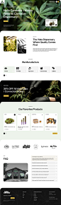 Web Design - Landing Page / Ecommerce by Usman A. on Dribbble