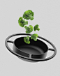 cooking design home kitchen KITCHENWARE modeling modern product Render