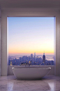 $95 Million Penthouse View