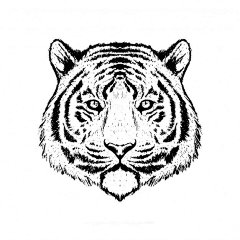 老虎头黑白插画矢量图素材