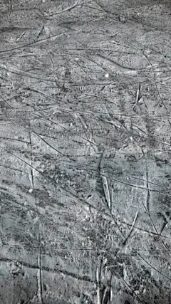 冬天,旱冰场,运动跑道,寒冷,健康保健,脉搏图,运动,西伯利亚,玻璃杯,滑冰