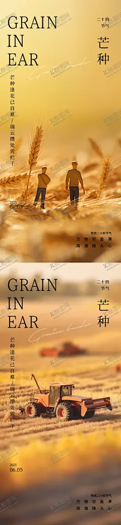 芒种24节气海报 【酷图网】海报,二十四节气,芒种,田地,麦穗,微景观,插画,