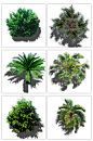 120张 外国真实高清植物树木景观设计PS后期素材