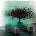 Three-Dimensional Trees Formed with Layers of Painted Glass